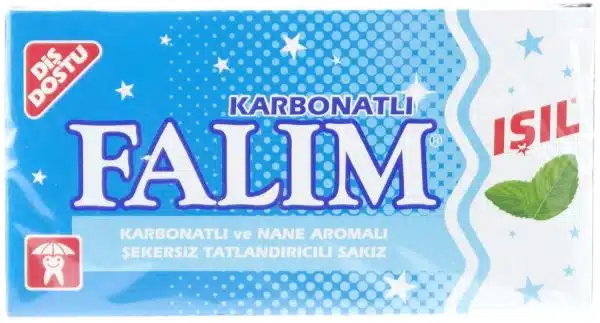 Falim Tyggegummi Mynte 100 stk